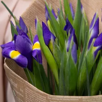 LetuFlowers Альпийская нежность