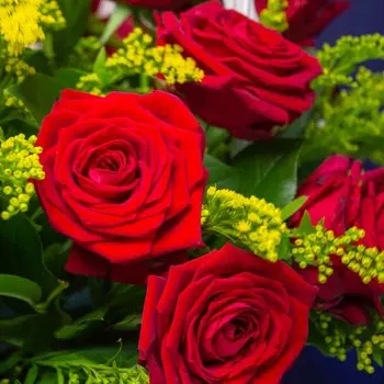 LetuFlowers Алый каприз