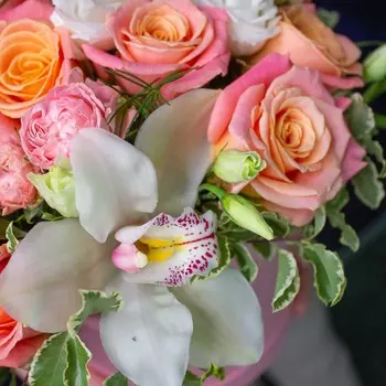 LetuFlowers Амальфитанское побережье