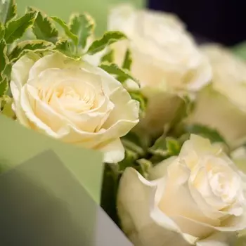 LetuFlowers Ассоль