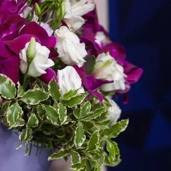 LetuFlowers Черничные ночи