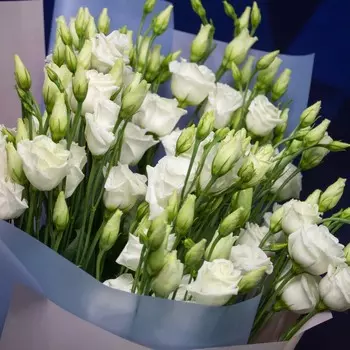 LetuFlowers Искренность