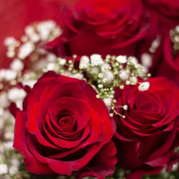 LetuFlowers Эмилия