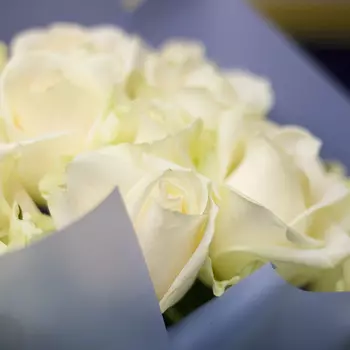 LetuFlowers Монблан