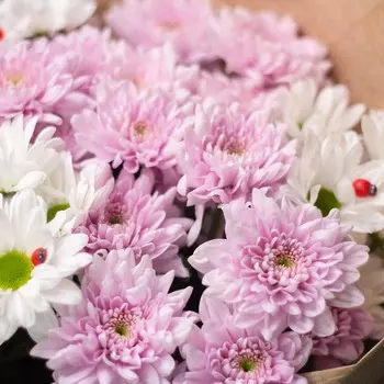 LetuFlowers Нежность лета