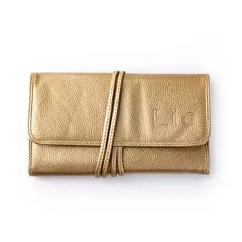 LIC Чехол для набор из 10 кистей золотистый