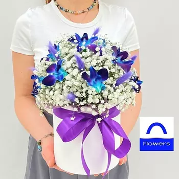 ЛЭТУАЛЬ FLOWERS Букет из гипсофил и космических орхидей в шляпной коробке Сонет