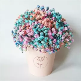 ЛЭТУАЛЬ FLOWERS Радужная дымка