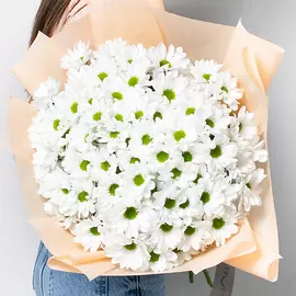 ЛЭТУАЛЬ FLOWERS Ромашковое поле 11 шт.