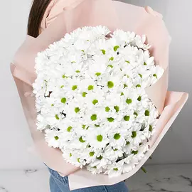 ЛЭТУАЛЬ FLOWERS Ромашковое поле 35 шт.