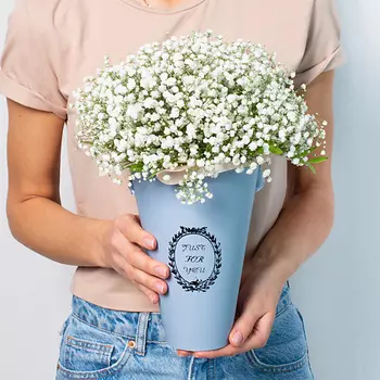 ЛЭТУАЛЬ FLOWERS Зефирка