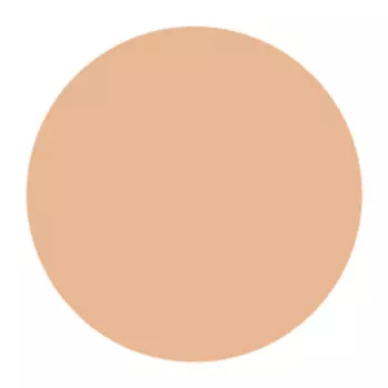 ЛЭТУАЛЬ Крем-пудра для лица двойного действия Ensemble