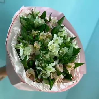 ЛЯ, БУКЕТ Кругляш