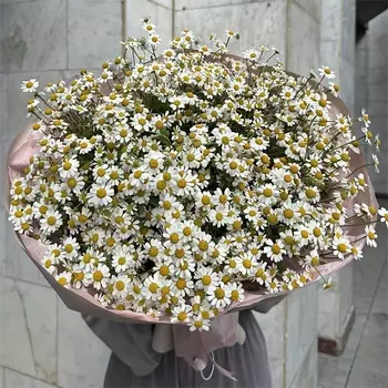 MADE KRIS Букет из танацетума "Ромашковое поле"
