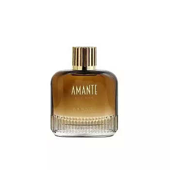 MARYAJ Парфюмерная вода AMANTE FOR MEN 100.0