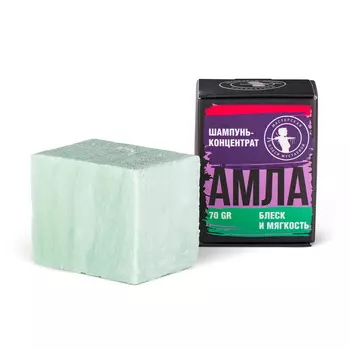 МАСТЕРСКАЯ ОЛЕСИ МУСТАЕВОЙ Шампунь-концентрат Амла