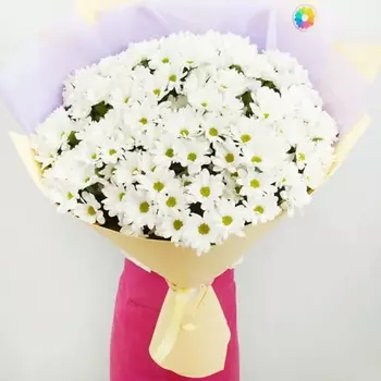 МИР ЦВЕТОВ Букет Гигант из 25 Хризантем