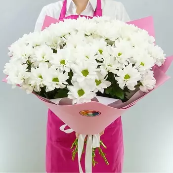 МИР ЦВЕТОВ Букет из 15 шт Хризантем