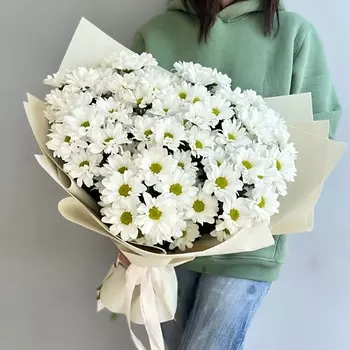 МОСРОЗАОПТ Букет из хризантем Бакарди