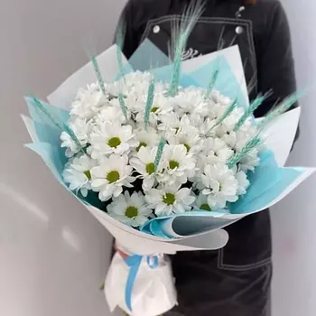 МОСРОЗАОПТ Букет из хризантем "Легкая нежность" (5 шт)