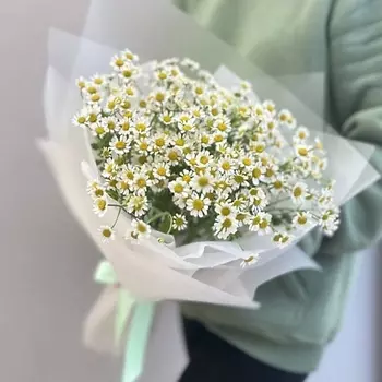 МОСРОЗАОПТ Букет Матриакария (15 веточек)