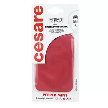 MR & MRS FRAGRANCE Аромакарточка для автомобиля CESARE CARD PEPPERMINT 1.0