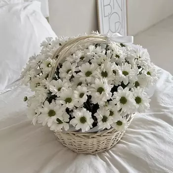 МY MOMENT Корзина с ромашковыми хризантемами