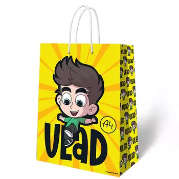 ND PLAY Пакет подарочный Влад А4 238*330*100 мм