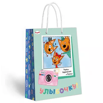 ND PLAY Три Кота Пакет подарочный 315*380*155 мм