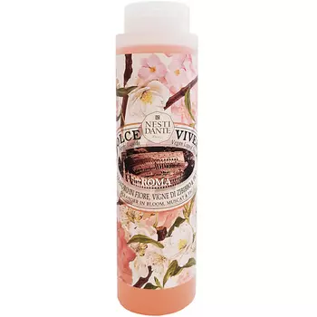NESTI DANTE Гель для душа Dolche Vivere Roma