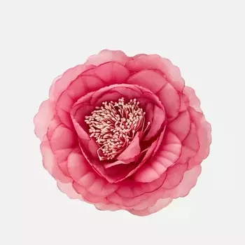 NEW LOOK NL Аксессуар