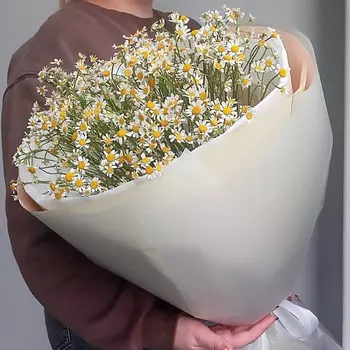 НЕЖНОСТЬ Букет с нежного танацетума