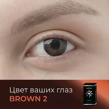 OKVISION Цветные контактные линзы Fusion Brown (2)