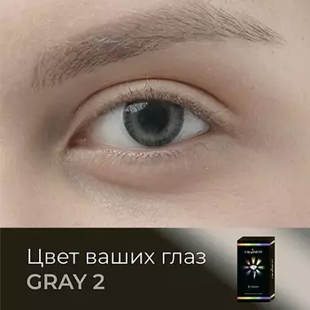 OKVISION Цветные контактные линзы Fusion Gray (2)