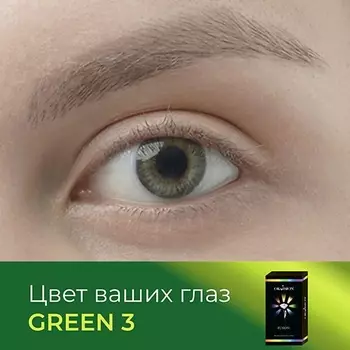 OKVISION Цветные контактные линзы OKVision Fusion color Green 3 на 3 месяца