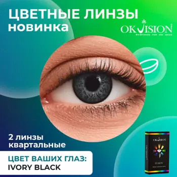 OKVISION Цветные контактные линзы OKVision Fusion Ivory Black на 3 месяца