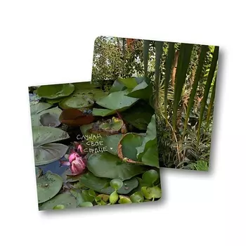 ОПРОКИНУТЫЙ ЛЕС Блокнот в точку квадратный 'слушай своё сердце'