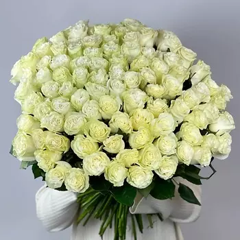 OPTROZ.RU 101 белая роза