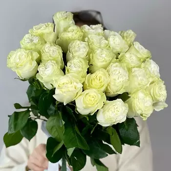 OPTROZ.RU 25 белых роз