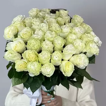 OPTROZ.RU 51 белая роза