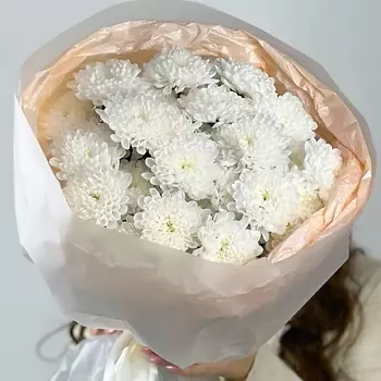 OPTROZ.RU Букет из хризантем Алтай