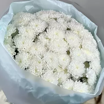 OPTROZ.RU Букет из хризантем Алтай