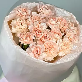 OPTROZ.RU Букет из нежных диантусов