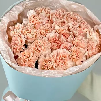 OPTROZ.RU Букет из нежных диантусов