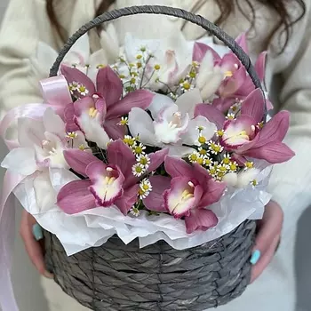 OPTROZ.RU Корзинка с орхидеями