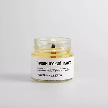 PARAGRAPH COLLECTION Свеча ароматическая "Тропический манго" 100.0