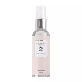 TAKE AND GO Парфюмированная дымка для тела BLOOMING ROSE
