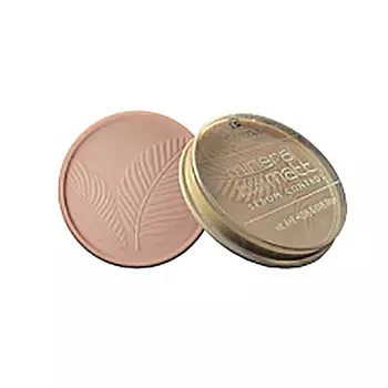 PARISA COSMETICS Face пудра для лица