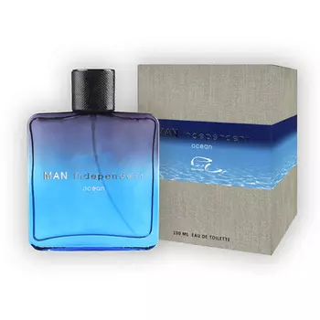 PARLI Туалетная вода мужская Man Independent Ocean освежающий, холодный, морской 100.0