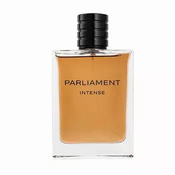 GENTY PARLIAMENT Intense 100